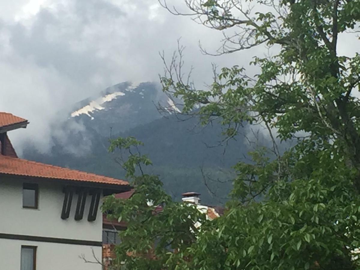 Belvedere Holiday Apartment Bansko Buitenkant foto